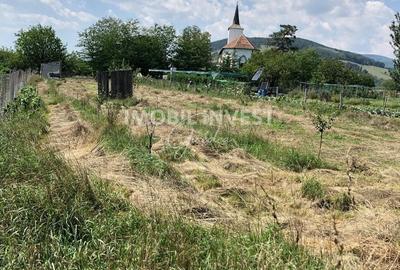 Teren de 1300 mp, în Vințu de Jos - 3