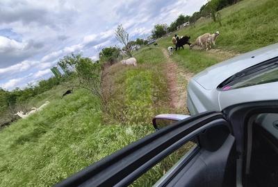 Teren de 3750 mp, în Giulești