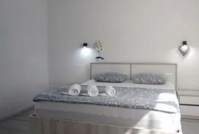 Casă cu 1 camere cu Teren 154 Mp în Lazaret - 2