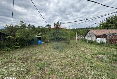 Casă cu 7 camere cu Teren 1026 Mp în Dârlos - 10