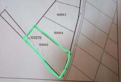 Teren Construcții intravilan de 1327 mp, în Cărpiniș - 2