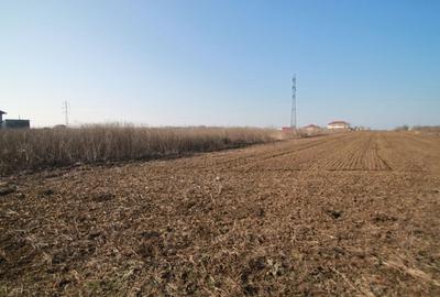 Teren Construcții intravilan de 403 mp, în Km 5 - 1