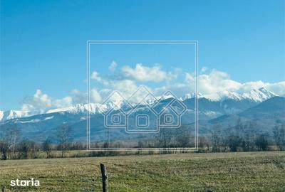 Teren de 2200 mp, în Cârțișoara