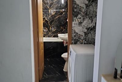Apartament cu 2 camere semidecomandat în Alecu Russo - 3