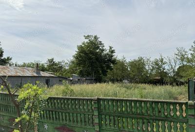 Teren de 1000 mp, în Plopu - 1