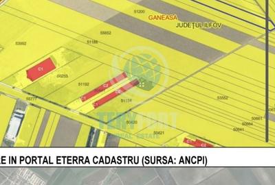 Teren de 15000 mp, în Găneasa