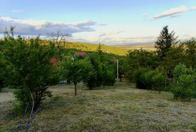 Teren intravilan de 1765 mp, în Podgoria - 4