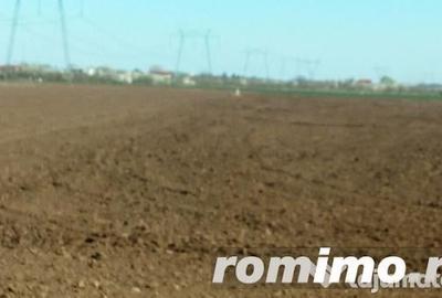 Teren de 2300 mp, în Frumușani