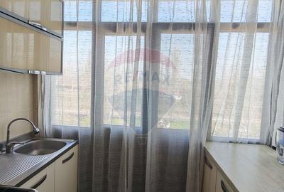Apartament cu 2 camere decomandat în Brazda lui Novac - 2