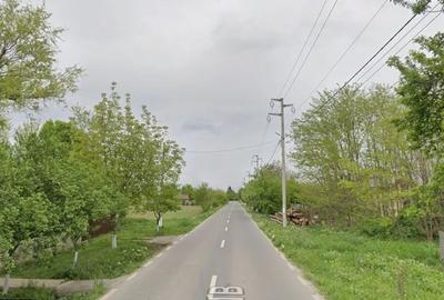 Teren agricol intravilan de 900 mp, în Merii Petchii - 13