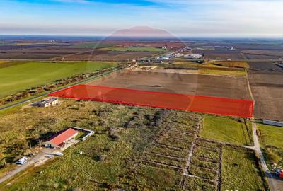Teren de 29220 mp, în Pecica