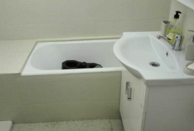 Apartament cu 3 camere decomandat în Central - 7