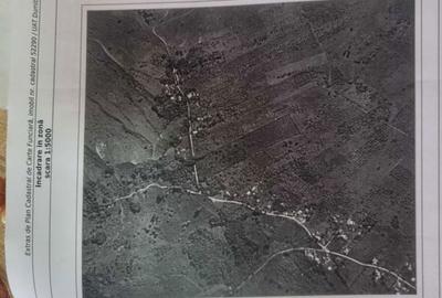 Teren de 25000 mp, în Dumitrești - 4