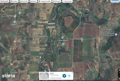 Teren de 5000 mp, în Lunca - 2