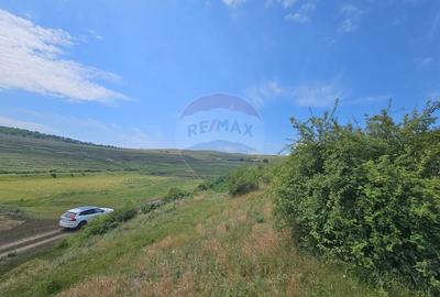 Teren agricol extravilan de 11600 mp, în Câmpenești - 6
