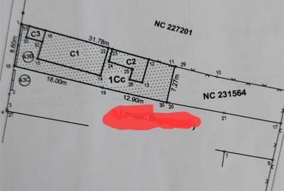 Casă cu 3 camere cu Teren 449 Mp în Nicolae Grigorescu