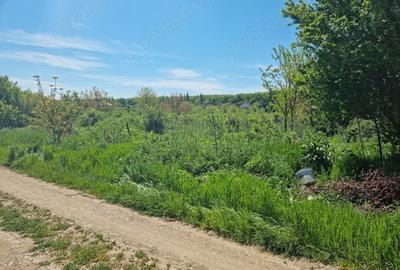 Teren de 1383 mp, în Bolintin-Deal - 2