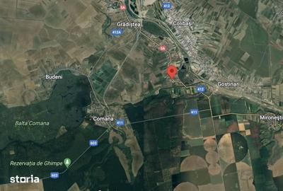 Teren de 970 mp, în Comana