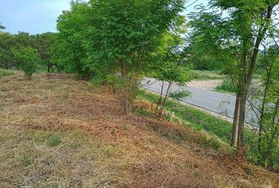 Teren de 4000 mp, în Florești - 4