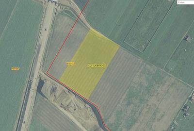 Teren Construcții intravilan de 34000 mp, în Cristian - 7