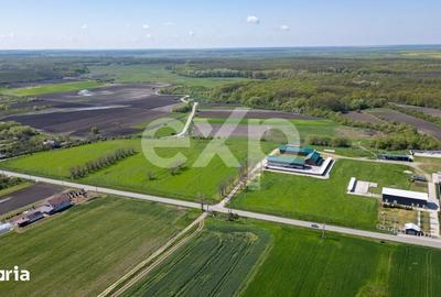 Teren de 105000 mp, în Singureni - 7