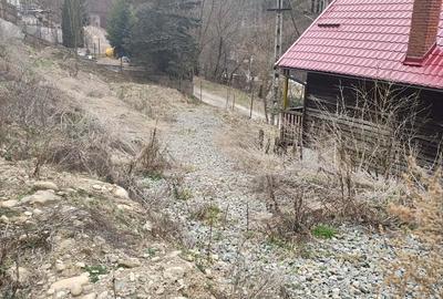 Teren de 918 mp, în Râșca - 3