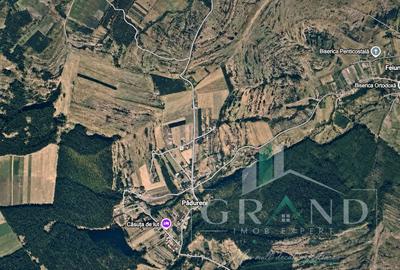Teren de 2900 mp, în Chinteni
