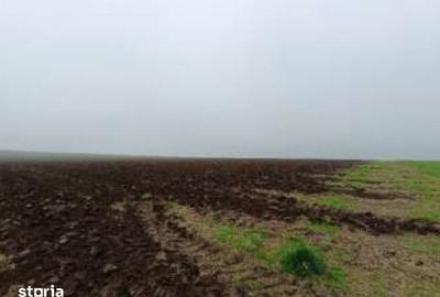 Teren de 15000 mp, în Limanu - 4