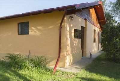Casă individuală cu 4 camere cu Teren 1294 Mp în Tâncăbești - 3