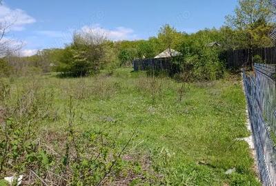 Teren de 3050 mp, în Plopu - 1