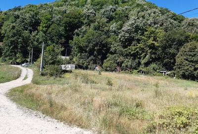 Teren Construcții intravilan de 3597 mp, în Eșelnița - 3