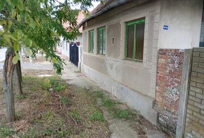 Teren de 5000 mp, în Ghilad - 2