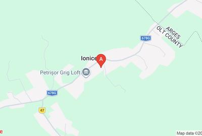 Teren agricol extravilan de 9970 mp, în Ionicești - 1