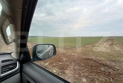 Teren de 946 mp, în Ghiroda - 1
