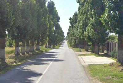 Teren de 6250 mp, în Găneasa - 4