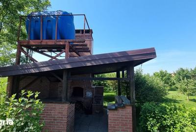Casă cu 3 camere cu Teren 1600 Mp în Central - 5