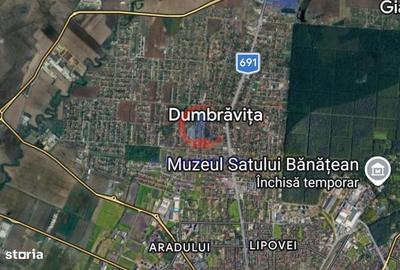 Casă cu 4 camere cu Teren 2600 Mp în Dumbrăvița