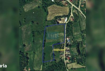 Teren de 12614 mp, în Aluniș