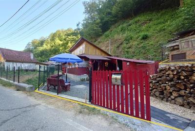 Casă individuală cu 2 camere cu Teren 307 Mp în Crișcior - 2