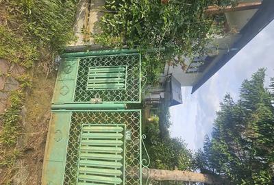Casă cu 4 camere cu Teren 1486 Mp în Central - 10