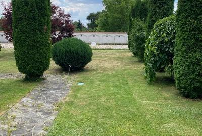 Casă individuală cu 7 camere cu Teren 2750 Mp în Mușcel - 3
