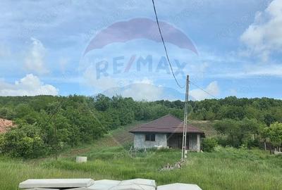Casă cu Teren 4234 Mp în Deag - 13