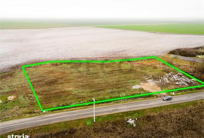 Teren de 5000 mp, în Sânnicolau Român - 2