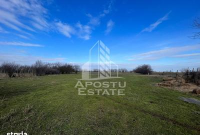 Spațiu comercial, de 10,000 mp, în Gai