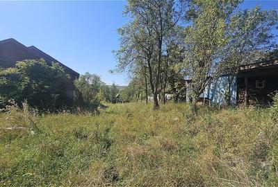 Casă individuală cu 4 camere cu Teren 4873 Mp în Pietroasa - 3