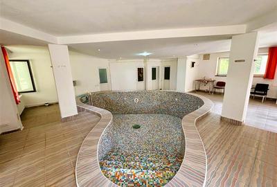 Casă individuală cu 10 camere cu Piscina în Malul Ursului - 40