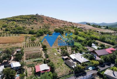 Casă individuală cu 4 camere cu Canalizare în Telița - 4