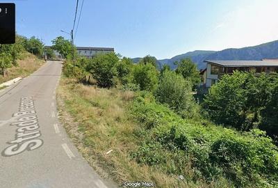 Teren de 1250 mp, în Dubova - 4