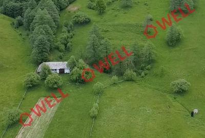 Spațiu comercial, în Barcani - 9