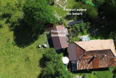 Casă individuală cu 4 camere cu Teren 3765 Mp în Mihăești - 4